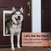 Medium Replacement Dog Door Flap for PetSafe PAC11-11038 - 12 7/8'' x 8 1/8'' - Durable Cat Flap - Buy Online on GoSupps.com