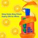 Foaming Acne Face Wash & Citrus Boys Body Wash | Teen & Tween Skincare Duo - Fight Acne & Odor with Confidence - Buy Online on GoSupps.com
