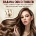  Orgrul Batana Oil for Hair Growth Cold Pressed Batana Oil for Hair Growth Batana Oil for Hair Growth 100% Natural Hair Growth Batana Oil - Buy Online on GoSupps.com