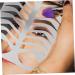 Didiseaon Eyebrow Template Mold Brow Lips Template Brow Stencil Eyebrow Draw Board Make up Lip Makeup - Buy Online on GoSupps.com