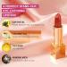 Oulac Metallic Nude Lipstick 3PCS - Vegan & Cruelty-Free Full-Coverage Lip Color - Buy Online on GoSupps.com