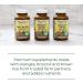 MegaFood Men Over 55 One Daily - 90 Tablets | Daily Multivitamin for Men's Health - Buy Online on GoSupps.com