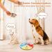 Shop Mmggaish 8 Colorful Dog Buttons for Communication | Complete Pet Training Set with 50 Stickers & Fixing Pads | International Shipping Available - Buy Online on GoSupps.com