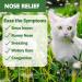Cat Sneezing Treatment Feline Nasal and Sinus Supplements Homeopathy Powder Formula 100g - Buy Online on GoSupps.com