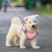 BriFit Cat Dishes & Adjustable Harness - Reflective Outbreak-Proof Soft Vest for Cats & Puppies (Pink XS) | International Shipping Available - Buy Online on GoSupps.com