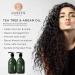 Luseta Tea Tree Oil Conditioner - Anti Dandruff Treatment for Dry Hair - Sulfate Free & Safe for Color Treated Hair - 16.9oz - Buy Online on GoSupps.com