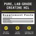 BEYOND RAW Science-Backed Creatine HCl Powder Lab Grade for Muscle Strength and Growth Energy Production Athletic Performance Cognitive Support Cellular Hydration 120 Servings - Buy Online on GoSupps.com