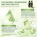 Lot de 2 shampoings romarin shampooing bio au romarin pour la croissance des cheveux shampooing naturel la k ratine renforce les cheveux fins sans force lutte contre les probl mes de perte de - Buy Online on GoSupps.com