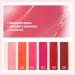 Waterproof High Pigmented Lip Stain & Cheek Tint | Long Lasting & Quick Dry Formula - HDN 03 - Buy Online on GoSupps.com