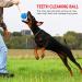 Ball On Rope Dog Toy Heavy Duty Pet Chew Rope Pimpled Ball Interactive Dog Pull & Tug Toy Studded Ball Tugger For All Dog Puppy Essentials Pet Accessories 40cm X 6.5cm Assorted Colours (Pack Of 1) - Buy Online on GoSupps.com