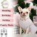 Dog White Princess Dress with Bowknot & Rose Decor - Medium Tutu Skirt for Small/Medium Girl Dogs - Formal & Sweet Summer Apparel for Wedding Party - Pet Lace Costume - Buy Online on GoSupps.com