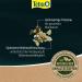 Tetra Pond Flakes - Premium Fish Feed for Small & Young Pond Fish | Balanced Diet 10L Can (1 Pack) - Buy Online on GoSupps.com