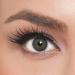 El 'Amore colored contact lenses Pixie Venezia - Amore series strongly covering monthly lenses for 6 months gently dark green color lenses perfect for dark eyes - 1 pair
