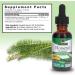 Nature's Answer Horsetail Extract 1 oz â€“ Alcohol-Free, Super Concentrated for Healthy Hair, Skin & Nails - Buy Online on GoSupps.com