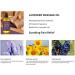 Cellulite Massage Oil - Body-Shaping Lavender & Essential Oils for Relaxing Muscles | Gua Sha Oil for Skin-Fitting Massage | International Shipping - Buy Online on GoSupps.com