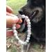 Pet Memorial Bracelet: Rainbow Bridge Card Included - Loss of Pet Gifts for Beloved Dog or Cat - Pet Loss Jewelry - Buy Online on GoSupps.com