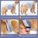 Avont Dog Recovery Suit - Postoperative Wound Protection for Neutered Males & Bitches - Blue (3XS) - Prevents Leak & Ensures Comfort - Buy Online on GoSupps.com