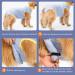 Avont Dogebody Post-Op Wound Protection Suit for Neutered Males & Bitches - Blue (4xL) | Postoperative Recovery Clothing - Buy Online on GoSupps.com