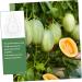 VANZACK Gardening Tools 3pcs Vegetable Fruit Ginseng Cucumber Adorable Forming Melon Gourd Garden Tools Transparent 9x8cm - Buy Online on GoSupps.com