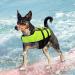NAMSAN Dog Life Jackets Life Jacket for Dog Portable Inflatable Life Jackets for Small/Medium/Large Dogs Green-M M Green