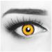 Buy Funnylens Yellow Black Crazy Fun Contact Lenses - Perfect for Carnival | Free Lens Container | 0.0 Diopters - Buy Online on GoSupps.com