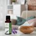 Sheer Essence Pure Essential Oils for Aromatherapy Skin Use Diffusers Candle and Soap Making 100% Undiluted & Uncut (Therapeutic Grade) - 5 ML (Hyssop) - Buy Online on GoSupps.com