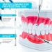 Utopia Care Professional Dental Tartar Scraper Tool - Double Ended Plaque Remover & Tooth Scraper (6 Inch Silver) for Effective Dental Care - Buy Online on GoSupps.com