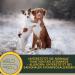 Hustens Juice for Dogs | Thyme & Anise Cough Remedy | Herbal Expectorant for Bronchial Relief | 100ml Airway Calming Solution - Buy Online on GoSupps.com