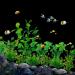 Lancare 16-Piece Artificial Aquarium Plants Decoration Set - Green Plastic Aquatic Plants for Aquariums - Buy Online on GoSupps.com