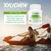 Xylichew Spearmint Chewing Gum - 100% Xylitol, Non-GMO, Sugar-Free, 60 Count Jars (Pack of 4) - Oral Care & Fresh Breath - Buy Online on GoSupps.com