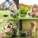 Vivifying Large Foldable Dog Bowls - Silicone BPA-Free Travel Bowls for Feeding & Watering | Portable Black & Green Design - Buy Online on GoSupps.com