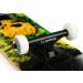 Minority 32inch Maple Skateboard | Trick Skateboard for Beginners, Intermediate, and Pros - Pineskull - Buy Online on GoSupps.com