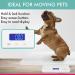 Adamson A50 Pet and Baby Scale 2023 - Digital Scale for Cats Dogs Rabbits - Up to 220 lb / 100 kg - Buy Online on GoSupps.com