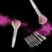 Cosmetic Brush 8pcs Nose Shadow Brush Makeup Brush Eye Shadow Brush Blending Brush for Travel(color) - Buy Online on GoSupps.com
