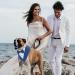 Maustlie Dog Smoking Bandana - Adjustable Triangle Scarf for Weddings & Parties - Blue (S) | Stylish Pet Attire - Buy Online on GoSupps.com