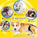 Hisprout Female Dog Diaper - Reusable Washable Durable Pants for XS Black Dogs | International Shipping Available - Buy Online on GoSupps.com