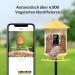 Birdfy Bird Feeder with Camera - AI Detection Video Recording & Solar Powered - Ideal for Wild Bird Feeding - Buy Online on GoSupps.com