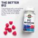 KAL Vitamin B12 Methylcobalamin 1000mcg for Healthy Energy Metabolism & Nerve Support - Fast Dissolve Micro Tabs, 90 Servings - Buy Online on GoSupps.com