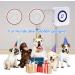 Buy Chunhee Waterproof Dog Doorbell Set - Touch Sensor Pet Bells for Easy Training | International Shipping - Buy Online on GoSupps.com
