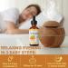 2 Pack Frankincense Essential Oil for Skin Face & Body Deeply Moisturizing Firming Fine Lines 2.02 Fl Oz (Pack of 2) - Buy Online on GoSupps.com