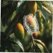 GANAZONO Fruits Forming Mould Vegetable Ginseng Vegetable Shaping Fruit Cucumber Fruits and Vegetables - Buy Online on GoSupps.com