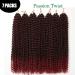 Passion Twist Hair - 24 Inch Water Wave Crochet Hair Extensions (7 Packs) | Synthetic Bohemian Braiding Hair - T1B-Bug - Buy Online on GoSupps.com