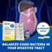 GeriCare Probiotic Digestive Support | Extra Strength 20 Billion CFU Lactobacillus Rhamnosus R-11 Daily Probiotic | Keeps Your Digestive System Balanced | 30 Capsules 30 Count (Pack of 1) - Buy Online on GoSupps.com