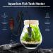Fonowx Small Aquarium Fish Tank Heater 10W Temperature Controller Intelligent Thermostat Digital Display Used for 3L Water Tanks Fish Tank Heater - Buy Online on GoSupps.com