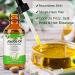 AIQIUSHA Organic Jojoba Oil 60ML - 100% Pure Cold Pressed Carrier Oil for Skin Hair Growth Frizz Control & DIY Beauty - Buy Online on GoSupps.com