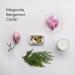 Dirty Labs Eco-Friendly Soy Wax Candle - Signature Scent Magnolia Bergamot & Cedar | Vegan Non-Toxic Luxe Home Candle Made in USA - Buy Online on GoSupps.com