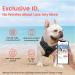 Shop Pawaii XS Dog Harness for Small Dogs - Anti-Pull Reflective Adjustable & Breathable with Handle | Ideal for Comfort & Control - Davys Gray - Buy Online on GoSupps.com