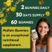 Putaojun 1 Pack Organic Mullein Gummies for Lungs, 2000MG Mullein Leaf Extract Supplement | Quercetin, Bromelain for Respiratory & Immune Support | Vegan, Sugr-Free, Mango Flavor | 60 Count - Buy Online on GoSupps.com