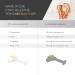 Pinch Clamp Set of 2 for Perfect Nail Design | UV Gel & Acrylic C-Curve Aid - Shop Internationally - Buy Online on GoSupps.com