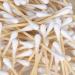 600 Premium Biodegradable Cotton Buds - Plastic Free Q Tips Swabs for Ear Cleaning and Makeup - 2 X 300 Pack - Buy Online on GoSupps.com